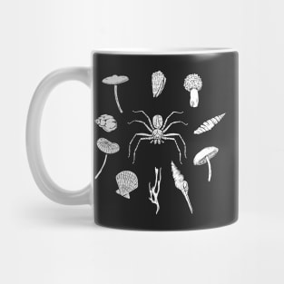 Huntsman spider with various shells and fungi Mug